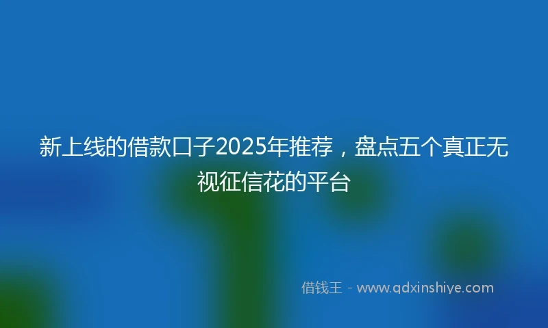 新上线的借款口子2025年推荐，盘点五个真正无视征信花的平台