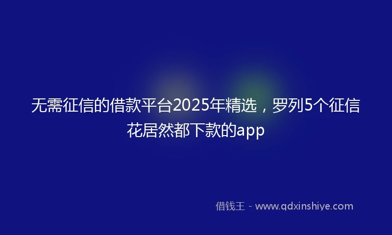 无需征信的借款平台2025年精选，罗列5个征信花居然都下款的app