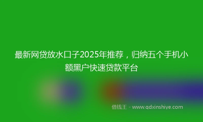 最新网贷放水口子2025年推荐，归纳五个手机小额黑户快速贷款平台