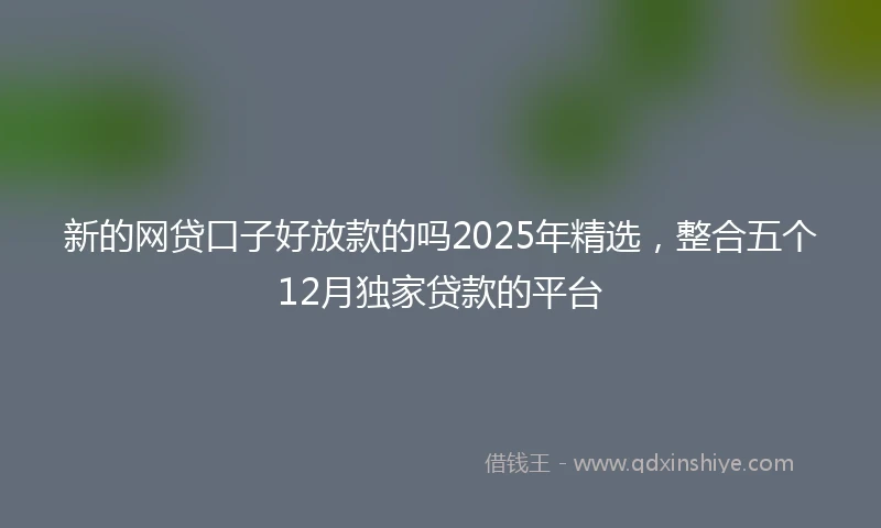 新的网贷口子好放款的吗2025年精选，整合五个12月独家贷款的平台