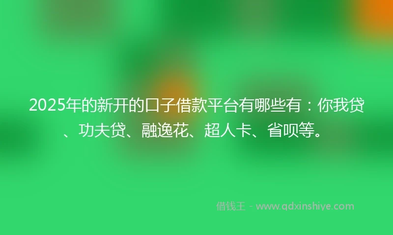2025年的新开的口子借款平台有哪些有：你我贷、功夫贷、融逸花、超人卡、省呗等。
