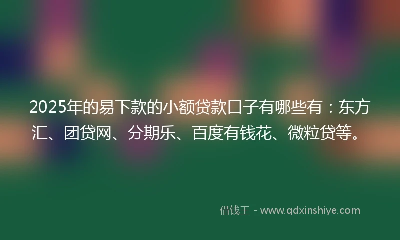 2025年的易下款的小额贷款口子有哪些有：东方汇、团贷网、分期乐、百度有钱花、微粒贷等。