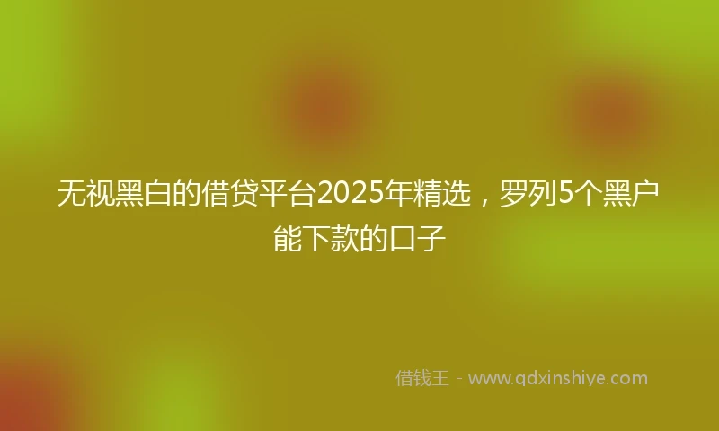 无视黑白的借贷平台2025年精选，罗列5个黑户能下款的口子