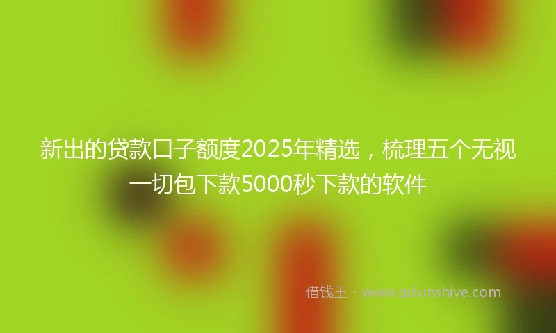 新出的贷款口子额度2025年精选，梳理五个无视一切包下款5000秒下款的软件