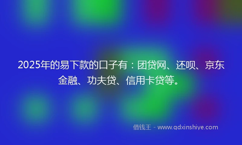 2025年的易下款的口子有：团贷网、还呗、京东金融、功夫贷、信用卡贷等。