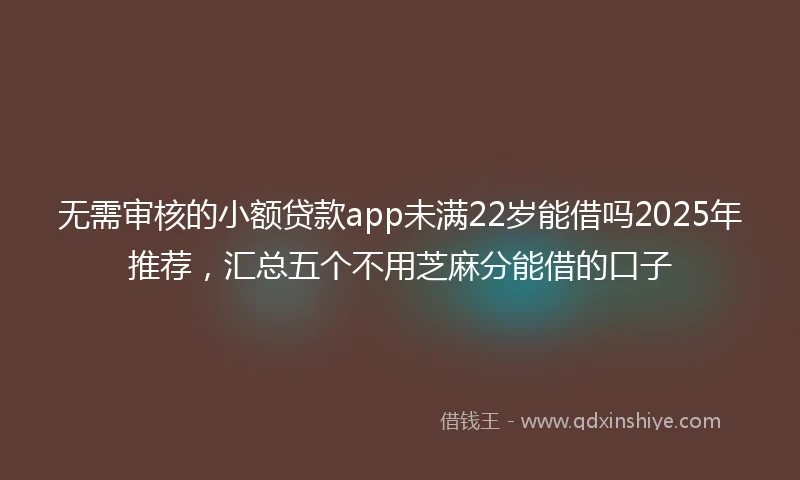 无需审核的小额贷款app未满22岁能借吗2025年推荐，汇总五个不用芝麻分能借的口子