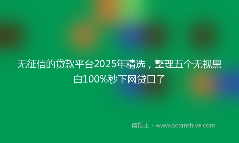 无征信的贷款平台2025年精选，整理五个无视黑白100%秒下网贷口子