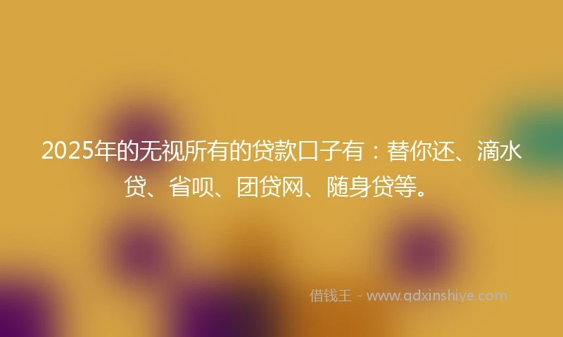 2025年的无视所有的贷款口子有：替你还、滴水贷、省呗、团贷网、随身贷等。