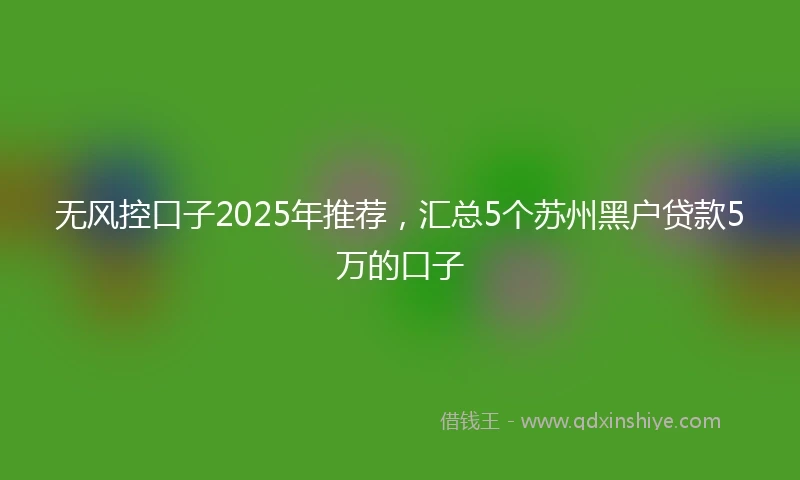 无风控口子2025年推荐，汇总5个苏州黑户贷款5万的口子