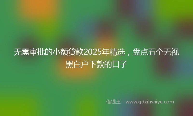 无需审批的小额贷款2025年精选，盘点五个无视黑白户下款的口子