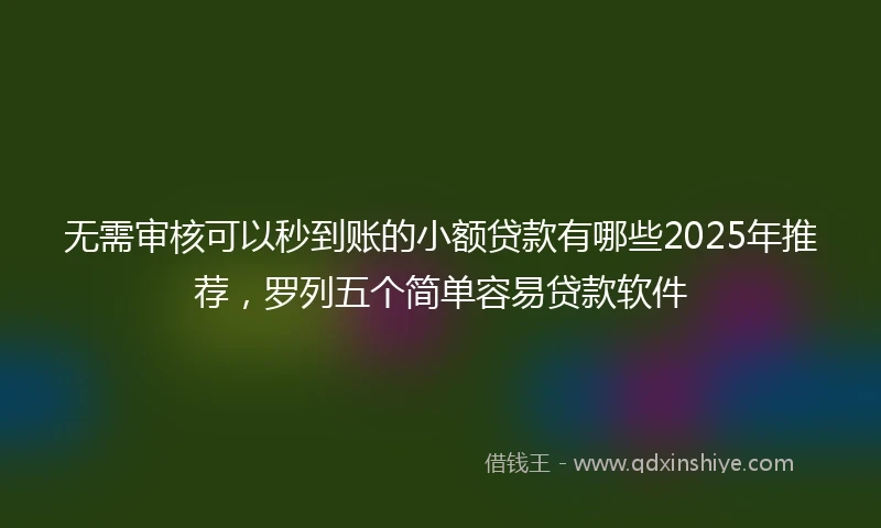 无需审核可以秒到账的小额贷款有哪些2025年推荐,罗列五个简单容易贷款软件