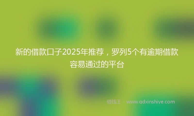 新的借款口子2025年推荐，罗列5个有逾期借款容易通过的平台