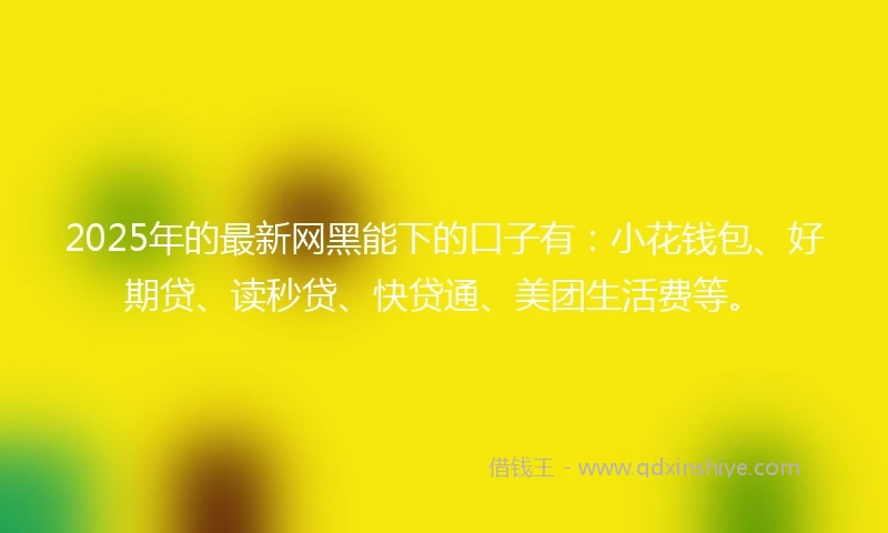 2025年的最新网黑能下的口子有：小花钱包、好期贷、读秒贷、快贷通、美团生活费等。