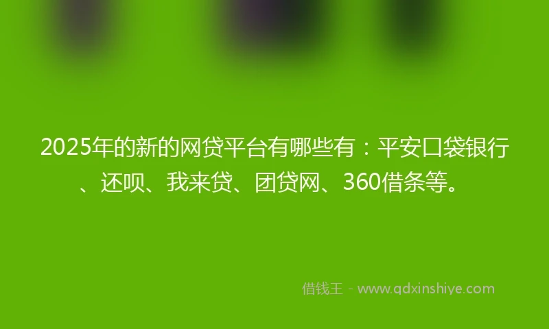 2025年的新的网贷平台有哪些有：平安口袋银行、还呗、我来贷、团贷网、360借条等。