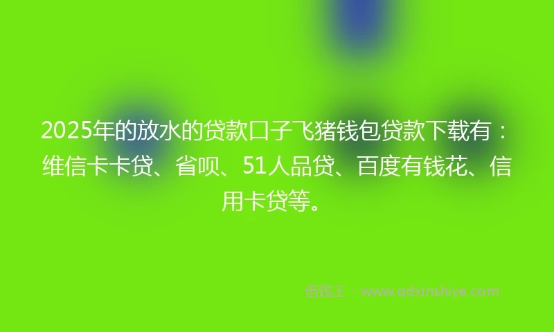 2025年的放水的贷款口子飞猪钱包贷款下载有：维信卡卡贷、省呗、51人品贷、百度有钱花、信用卡贷等。