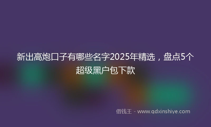 新出高炮口子有哪些名字2025年精选，盘点5个超级黑户包下款