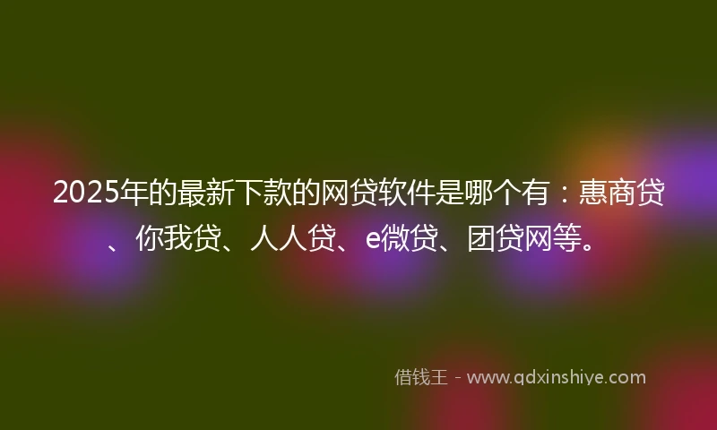 2025年的最新下款的网贷软件是哪个有：惠商贷、你我贷、人人贷、e微贷、团贷网等。