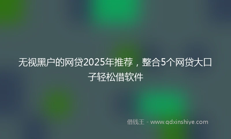 无视黑户的网贷2025年推荐,整合5个网贷大口子轻松借软件