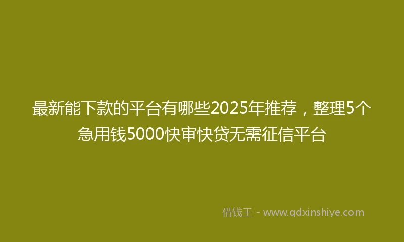 最新能下款的平台有哪些2025年推荐，整理5个急用钱5000快审快贷无需征信平台