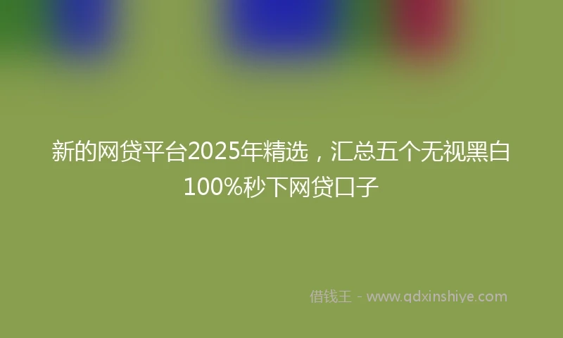 新的网贷平台2025年精选，汇总五个无视黑白100%秒下网贷口子