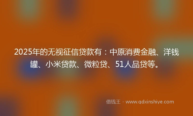 2025年的无视征信贷款有：中原消费金融、洋钱罐、小米贷款、微粒贷、51人品贷等。
