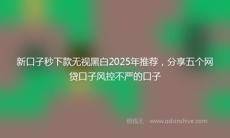 新口子秒下款无视黑白2025年推荐，分享五个网贷口子风控不严的口子