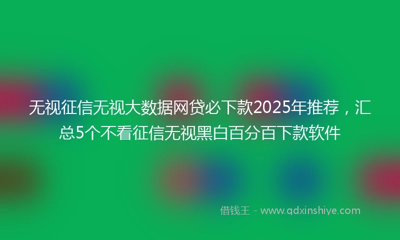 无视征信无视大数据网贷必下款2025年推荐，汇总5个不看征信无视黑白百分百下款软件