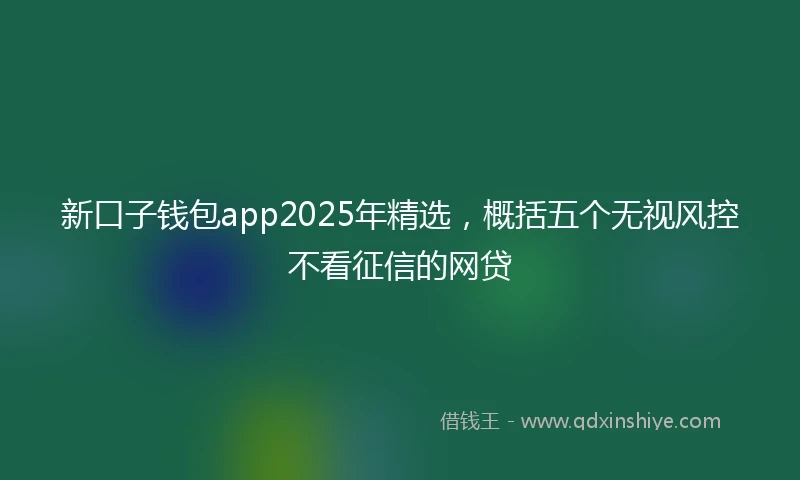 新口子钱包app2025年精选，概括五个无视风控不看征信的网贷