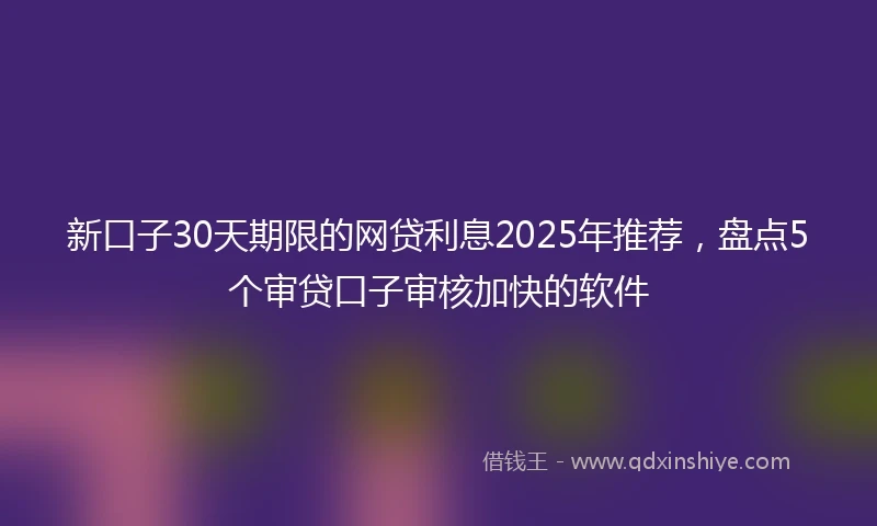 新口子30天期限的网贷利息2025年推荐，盘点5个审贷口子审核加快的软件