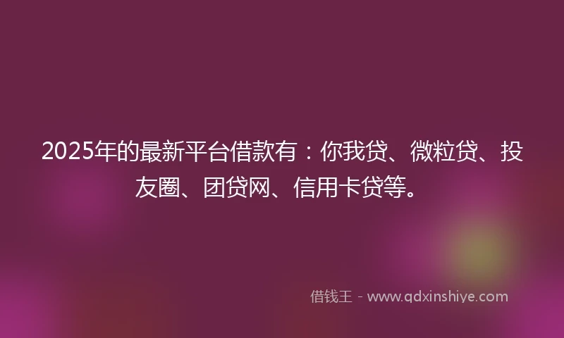2025年的最新平台借款有：你我贷、微粒贷、投友圈、团贷网、信用卡贷等。