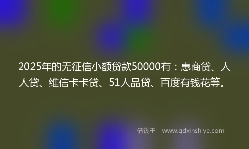 2025年的无征信小额贷款50000有：惠商贷、人人贷、维信卡卡贷、51人品贷、百度有钱花等。