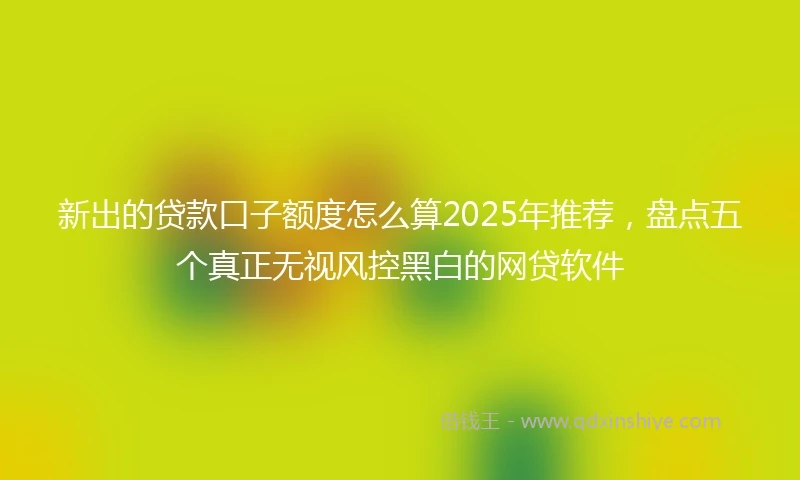 新出的贷款口子额度怎么算2025年推荐，盘点五个真正无视风控黑白的网贷软件