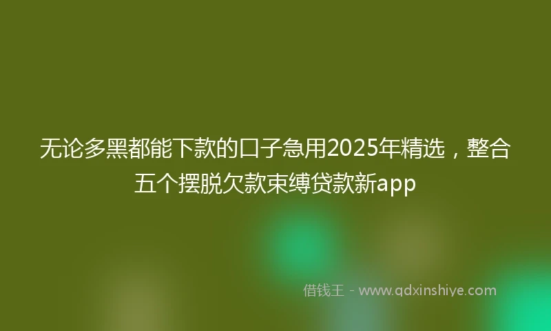 无论多黑都能下款的口子急用2025年精选，整合五个摆脱欠款束缚贷款新app