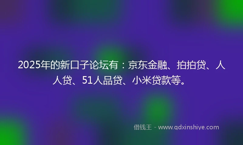 2025年的新口子论坛有：京东金融、拍拍贷、人人贷、51人品贷、小米贷款等。