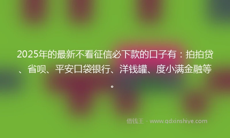 2025年的最新不看征信必下款的口子有:拍拍贷、省呗、平安口袋银行、洋钱罐、度小满金融等。