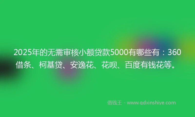 2025年的无需审核小额贷款5000有哪些有：360借条、柯基贷、安逸花、花呗、百度有钱花等。