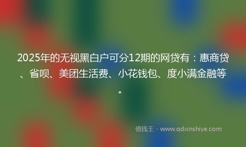 2025年的无视黑白户可分12期的网贷有：惠商贷、省呗、美团生活费、小花钱包、度小满金融等。