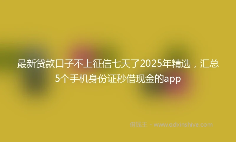 最新贷款口子不上征信七天了2025年精选,汇总5个手机身份证秒借现金的app