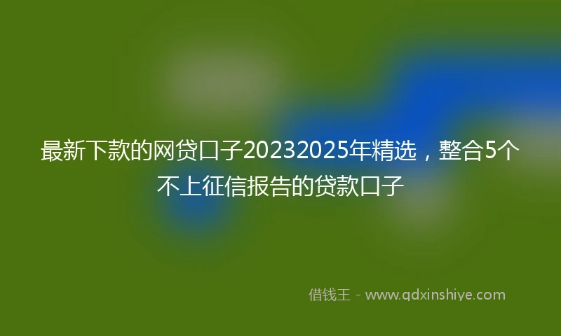 最新下款的网贷口子20232025年精选，整合5个不上征信报告的贷款口子