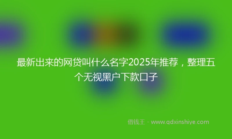 最新出来的网贷叫什么名字2025年推荐，整理五个无视黑户下款口子