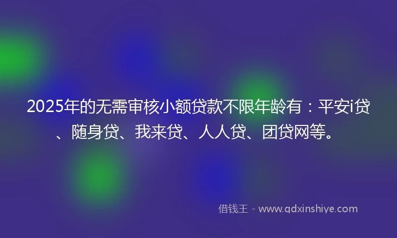 2025年的无需审核小额贷款不限年龄有：平安i贷、随身贷、我来贷、人人贷、团贷网等。