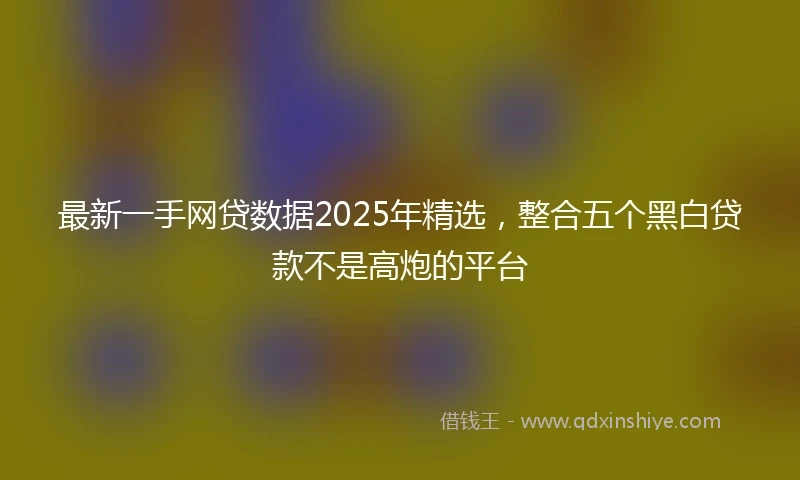 最新一手网贷数据2025年精选，整合五个黑白贷款不是高炮的平台