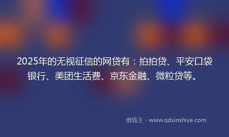 2025年的无视征信的网贷有：拍拍贷、平安口袋银行、美团生活费、京东金融、微粒贷等。