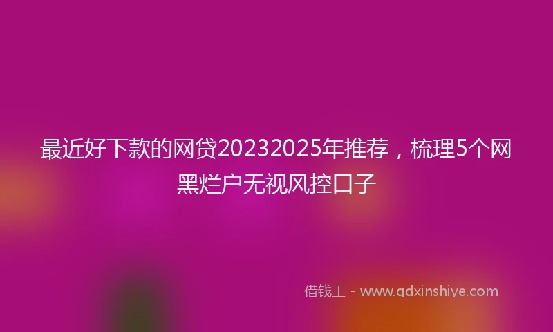 最近好下款的网贷20232025年推荐,梳理5个网黑烂户无视风控口子