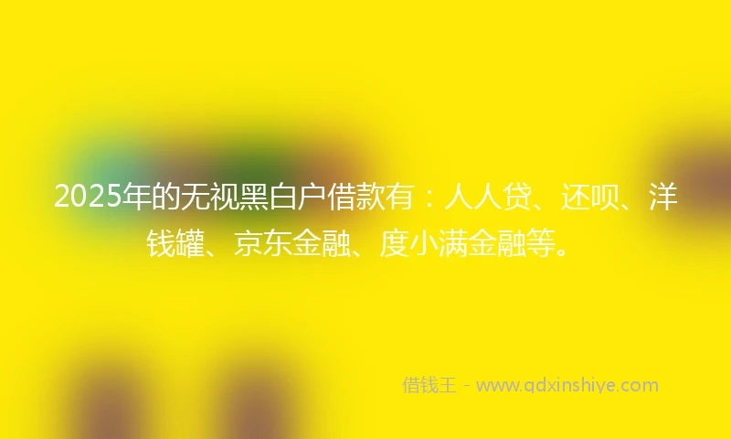 2025年的无视黑白户借款有：人人贷、还呗、洋钱罐、京东金融、度小满金融等。