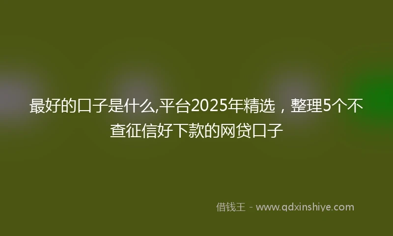 最好的口子是什么,平台2025年精选，整理5个不查征信好下款的网贷口子