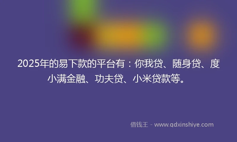 2025年的易下款的平台有：你我贷、随身贷、度小满金融、功夫贷、小米贷款等。