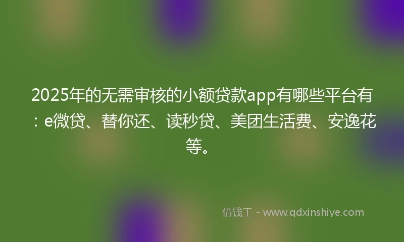 2025年的无需审核的小额贷款app有哪些平台有：e微贷、替你还、读秒贷、美团生活费、安逸花等。