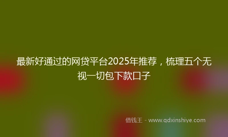 最新好通过的网贷平台2025年推荐，梳理五个无视一切包下款口子