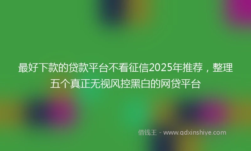 最好下款的贷款平台不看征信2025年推荐，整理五个真正无视风控黑白的网贷平台